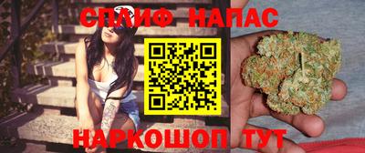 стафф Обнинск
