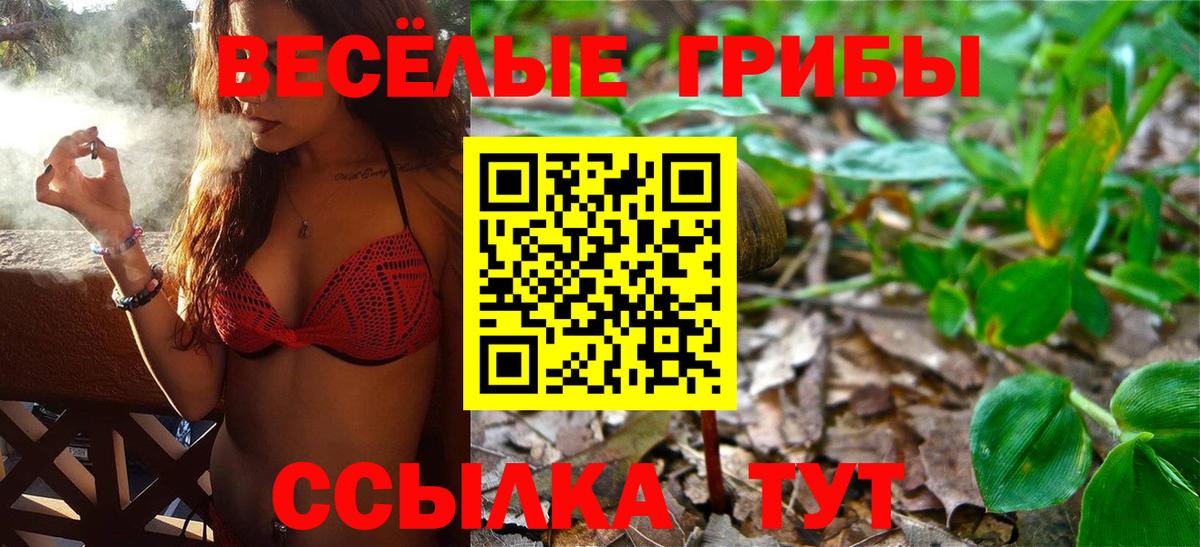 Галлюциногенные грибы GOLDEN TEACHER  Вход с VPN  Чита 